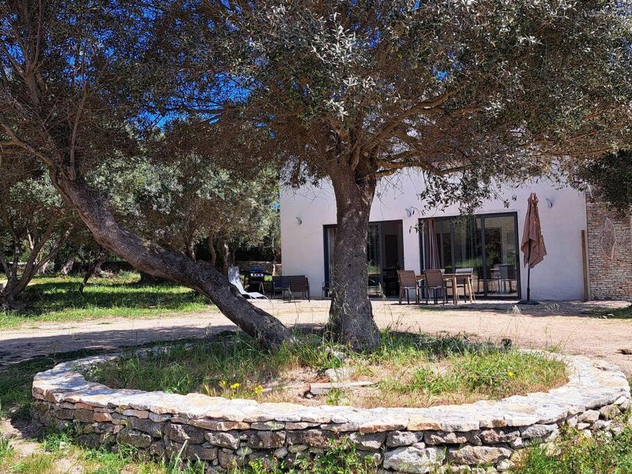 Maison Au Calme Idealement Situee Proche Plage Bonifacio  Exterior photo